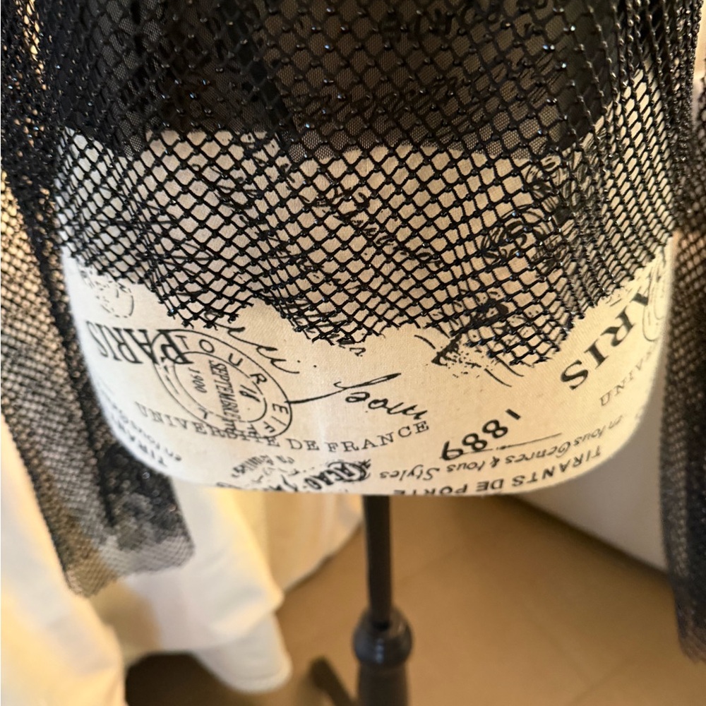 ๐ Forever 21 Luxe XX1 ~ Sparkly Black Mesh Blouse - Picture 5 of 17